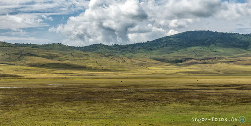 ingos fotos, Ngorongoro Hochland, Tansania