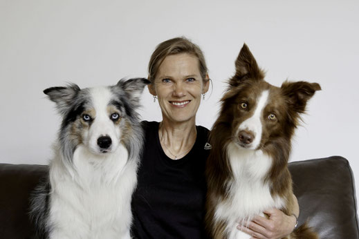 Zertifiziertes Bettwanzen-Spürhunde-Team Leipzig