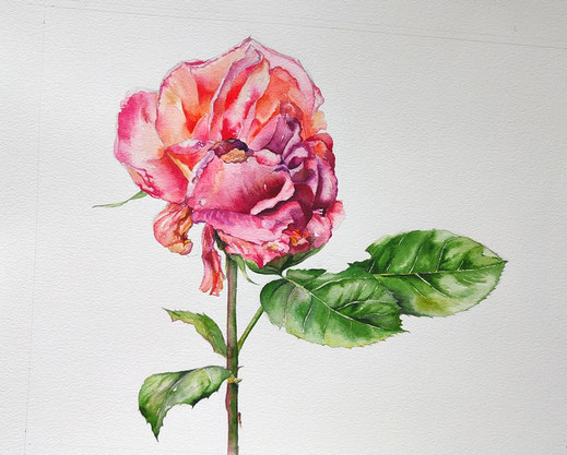 aquarelle rose abimée Joëlle Poret