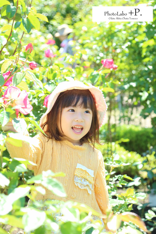 秋田 大館 で ベビー キッズ マタニティ ニューボーンフォト 撮影 スタジオ のない 写真 屋さん 石田ローズガーデン 大館バラ祭