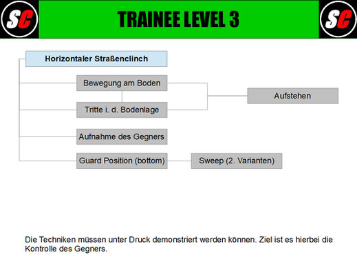 SC Int'l Street Combatives Urban Medic Trainee Level Training Group Leader Coach Apprentice Instructor Krav Maga Trainerausbildung Kampfsport Catch Wrestling Selbstverteidigung BJJ MAA 