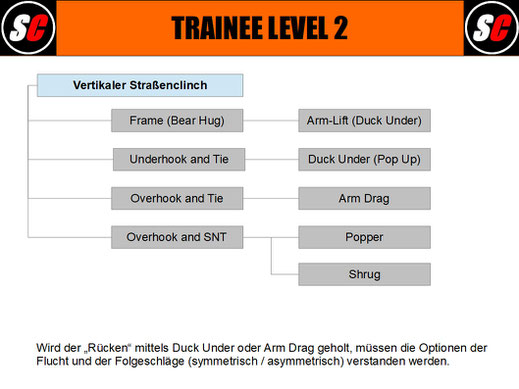 SC Int'l Street Combatives Urban Medic Trainee Level Training Group Leader Coach Apprentice Instructor Krav Maga Trainerausbildung Kampfsport Catch Wrestling Selbstverteidigung BJJ MAA 