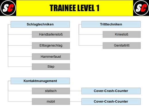 SC Int'l Street Combatives Urban Medic Trainee Level Training Group Leader Coach Apprentice Instructor Krav Maga Trainerausbildung Kampfsport Catch Wrestling Selbstverteidigung BJJ MAA 