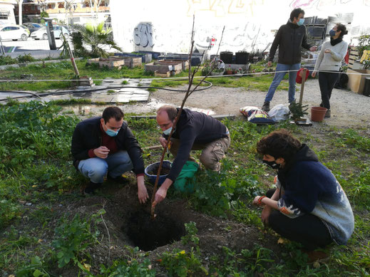 Passem a l'acció: L'Hort Fortalesa