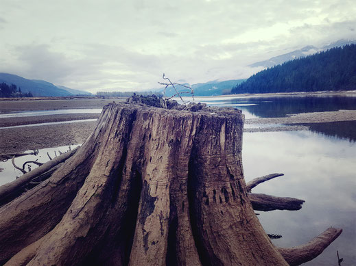 Columbia River/ Centennial Park Revelstoke