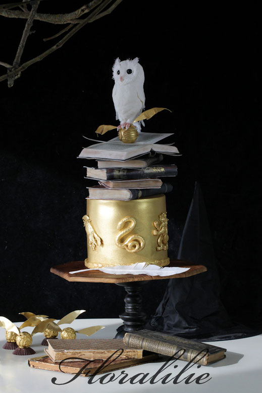 Harry Potter Cake with a White Owl | Floralilie Sugar Art