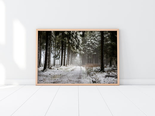 Poster-Print Rothaarsteig