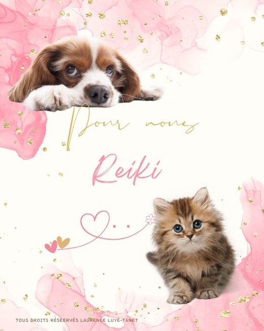 Reiki spécial pour les animaux - Tours
