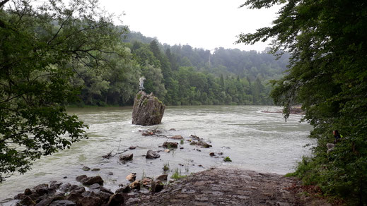 Kurz nach dem Georgenstein haben wir der Isar den Rücken gekehrt und sind in den Wald hinein