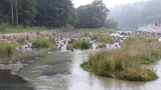 Hier können Fische und andere Flussbewohner problemlos das Bauwerk überqueren