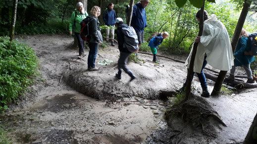 Die Regenjacke war nicht so wichtig wie feste Schuhe: Trotz Regen sind wir durch die Bäume kaum nass geworden - der Boden war allerdings sehr schlammig