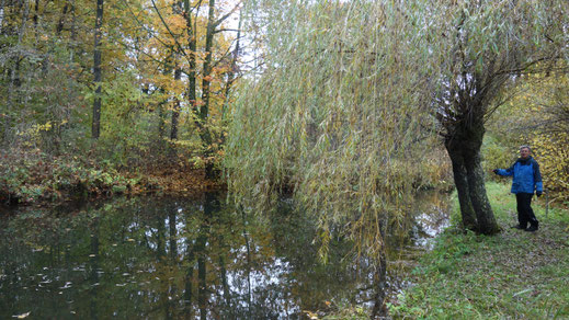 Die Tümpel und Weiher haben glasklares Wasser und sehen selbst im Herbst malerisch aus. Hier hat Richard mir etwas über die Wasserqualität und Brunnenkresse erzählt.