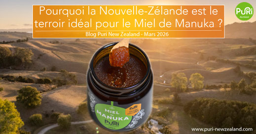 Pourquoi la Nouvelle-Zélande est le terroir idéal pour le Miel de Manuka de Nouvelle-Zélande ?