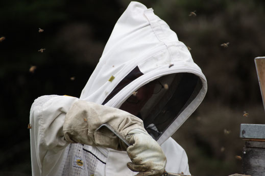 Phil, notre apiculteur de Nouvelle-Zélande professionnel et spécialisé dans la récolte de Miel de Manuka de Nouvelle-Zélande