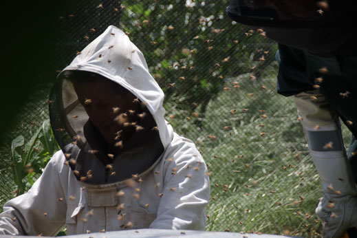 Tim, notre apiculteur de Nouvelle-Zélande spécialisé dans le Miel de Thym récolté dans la région de Central Otago, île sud