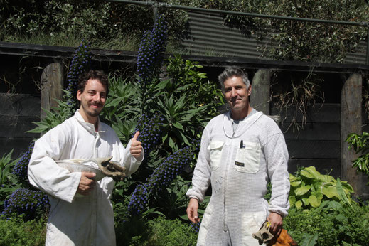 Notre Apiculteur Phil de Nouvelle-Zélande qui opère près de la ville de Dunedin et qui récolte le Miel de Manuka de Nouvelle-Zélande