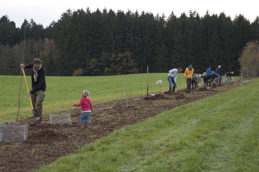AK Biotoppflege bei eienr Heckenpflanzung   (Foto: R. Dries)