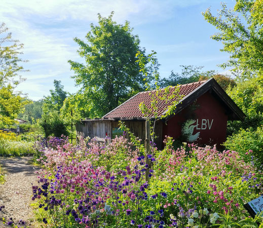 Nektargarten im Umweltgarten Wiesmühl