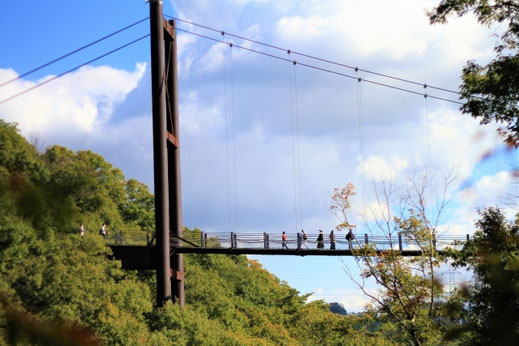 交野市を代表する吊り橋「星のブランコ」