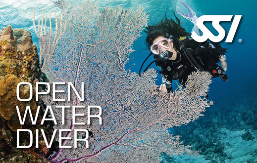 OWD / Open Water Diver Kurs