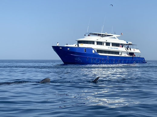 Event Tauchgruppe - Verzasca