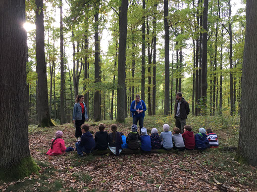 13 sitzende Seminarteilnehmer im Wald vor 3 Seminarleitern