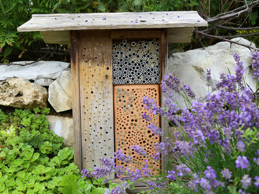 Wildbienenhaus im Garten