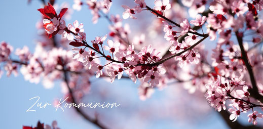 Kommunionkarte, Glückwunsch Kommunion, Erstkommunion, Kirschbaum, Kirschblüten,  Karte zur Kommunion