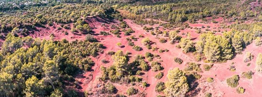 Corinne Eckenspieller Coach de vision naturelle Méthode Bates - association l art de voir methode bates en france