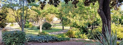 Corinne Eckenspieller Coach de vision naturelle Méthode Bates - association l art de voir methode bates en france