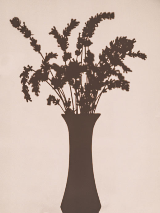 Walter Schwab - Fotografie