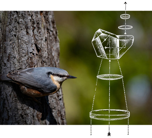 Walter Schwab - Publikationen