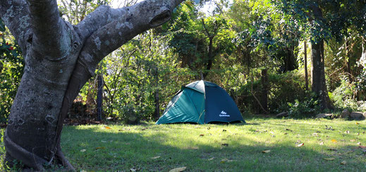 Jungle Monkey Backpackers