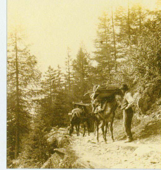 Saumpfad, handelspad met paarden en ezels over de Berninapas