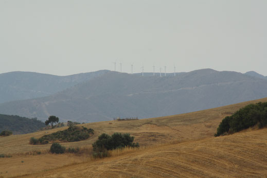 Boven op de bergen voor ons ligt een groot windmolenpark. Vooral 's morgens als de lucht nog niet zo warm is zijn de molens goed te zien. 