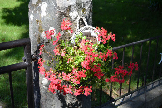 Geraniums in bakken langs de weg bij de huizen