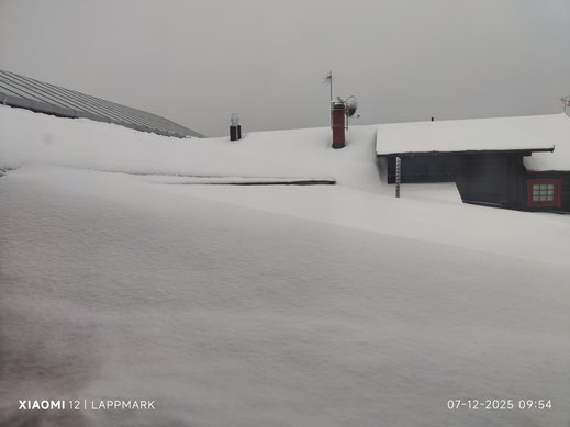 Als we zondag ochtend wakker worden, is het duidelijk dat het de hele nacht zachtjes heeft gesneeuwd. 