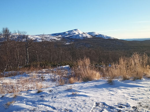 Ammarnäs Vindelälvens naturreservat Västerbotten Norrbotten Sverige