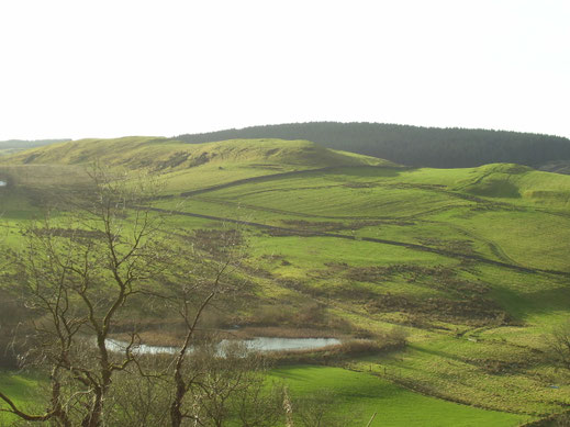 prachtig hoe de bossen in de verte de bergen beschermen. Op de voorgrond een klein meertje.