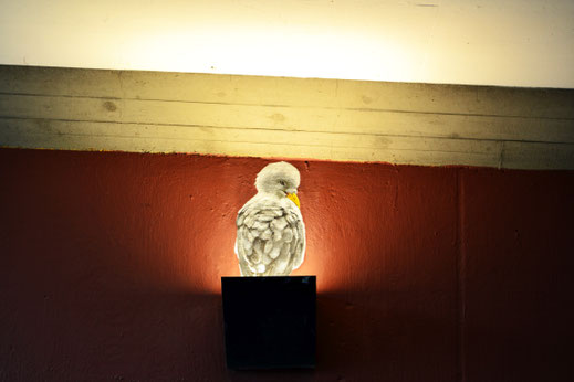 Een kuiken zit op de lamp. Prachtig
