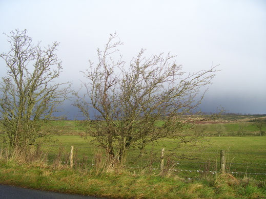 Oei, daar hangen zware regenwolken!