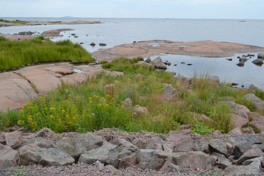 Her en der zien we wel mensen op de rotskust picknicken. Dat mag namelijk, maar ik zie nog niet hoe ik daar zou moeten komen. 