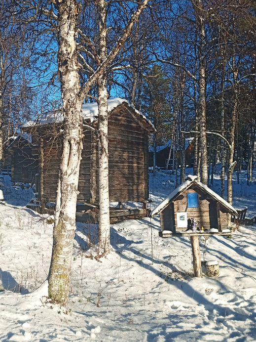 Ammarnäs Vindelälvens naturreservat Västerbotten Norrbotten Sverige