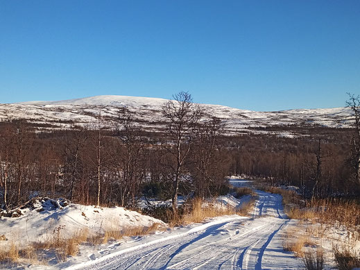 Ammarnäs Vindelälvens naturreservat Västerbotten Norrbotten Sverige