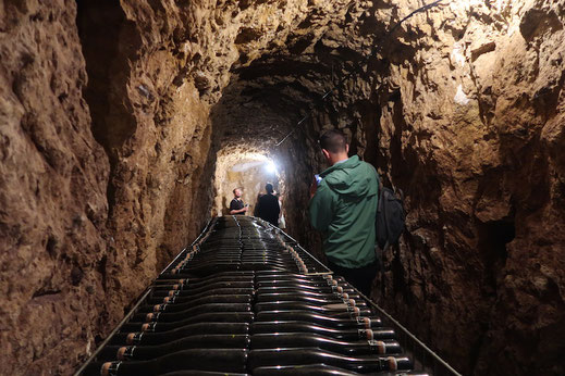 wine-tour-wine-tasting-Loire-Valley-Vouvray-Tours-Amboise-visit-winery-cellar