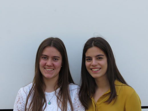 Committees Heimuns Webseite Heimun 2020 hosts 100 delegates in heidelberg from 08 july 2020. committees heimuns webseite