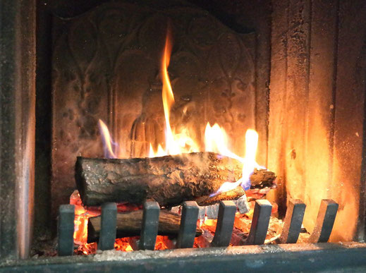 Picture: Small fireback in a modern wood-burning stove.