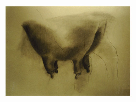 El dibujo es la honestidad del arte. No hay posibilidad de hacer trampas. Es bueno o malo. El dibujo es la honestidad del arte. No hay posibilidad de hacer trampas. Es bueno o malo.
