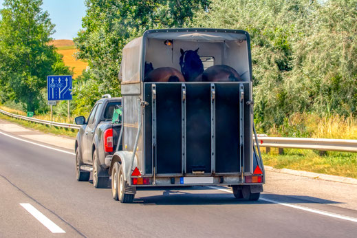 Auto mit Pferdeanhänger