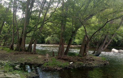 Randos Canétoises: marche dans le parc naturel des Dosses à Barcares le 9 avril 2019